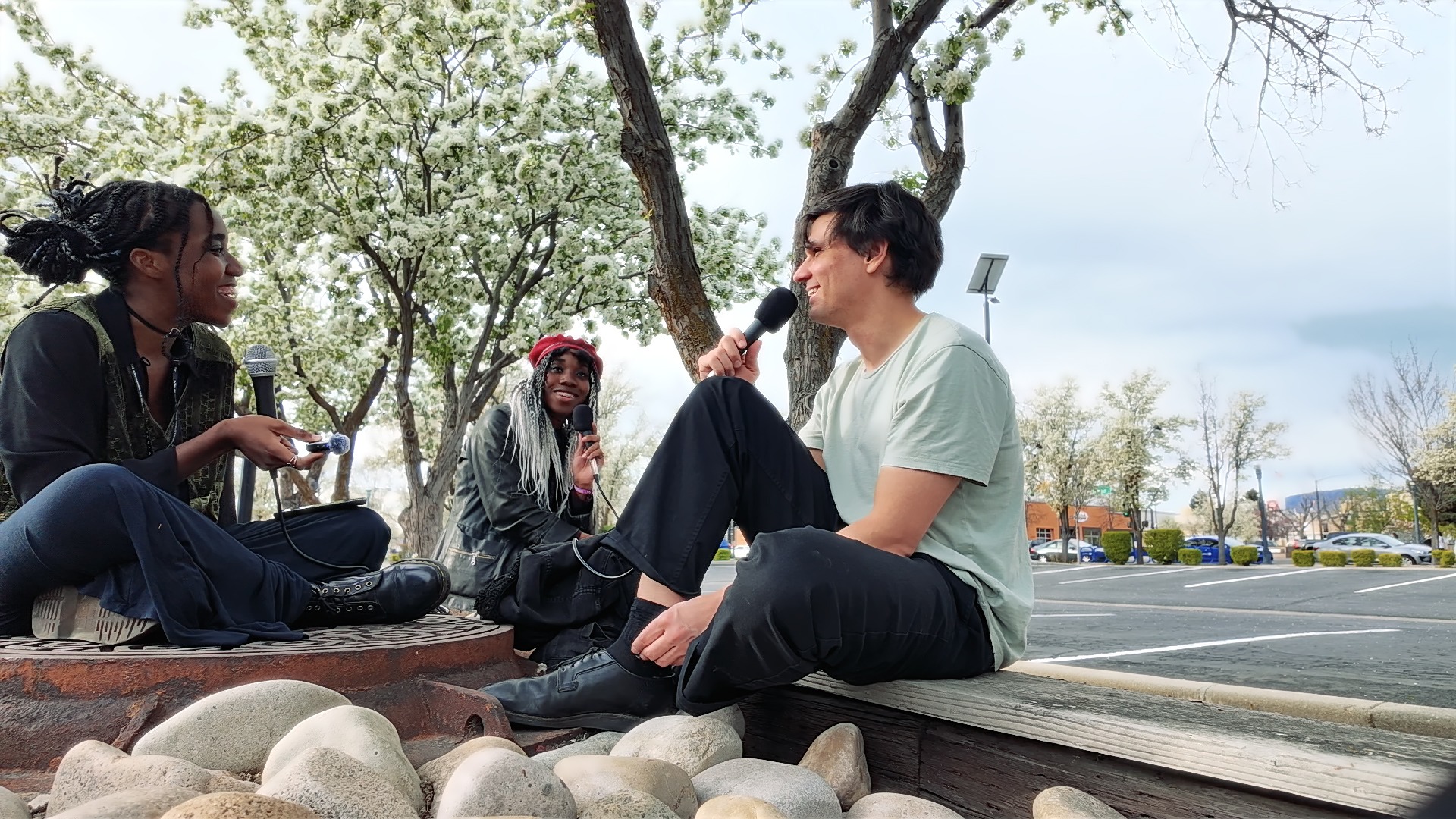 Treefort series